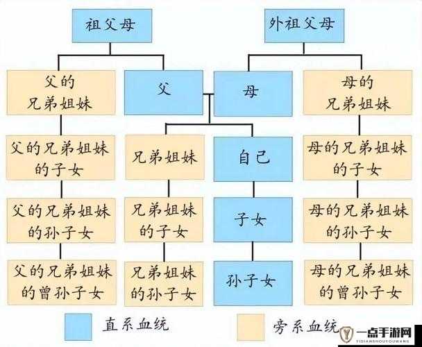 叔叔和侄儿媳妇的亲属关系怎么写-详细解读与分析